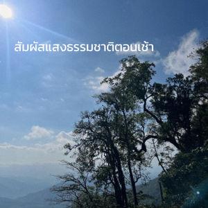 รูปภาพที่ 5