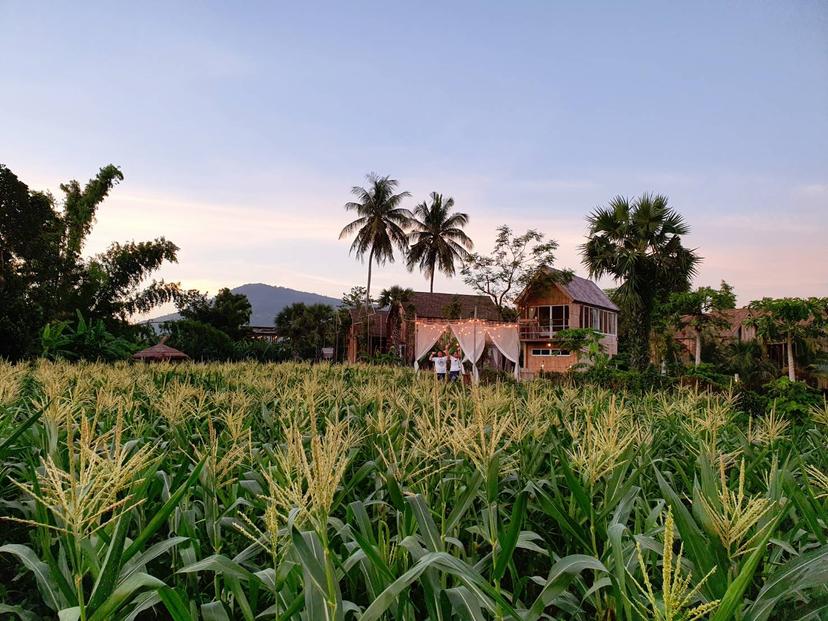 Country House Khao Yai