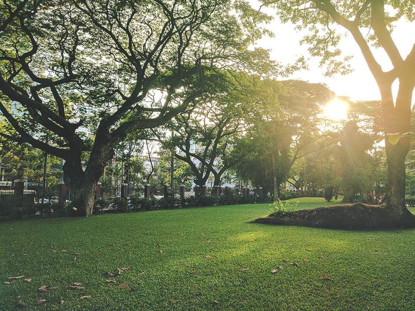 Lumpini Park