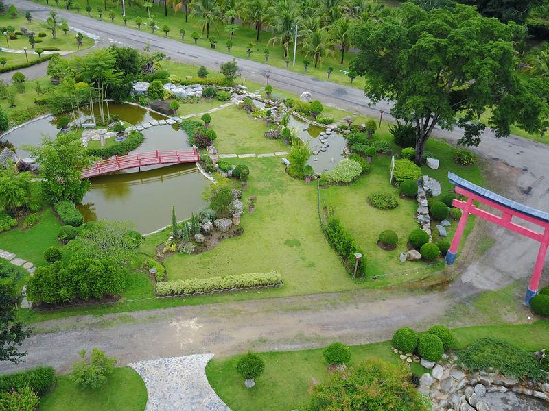 Suan Phueng Bonsai Village