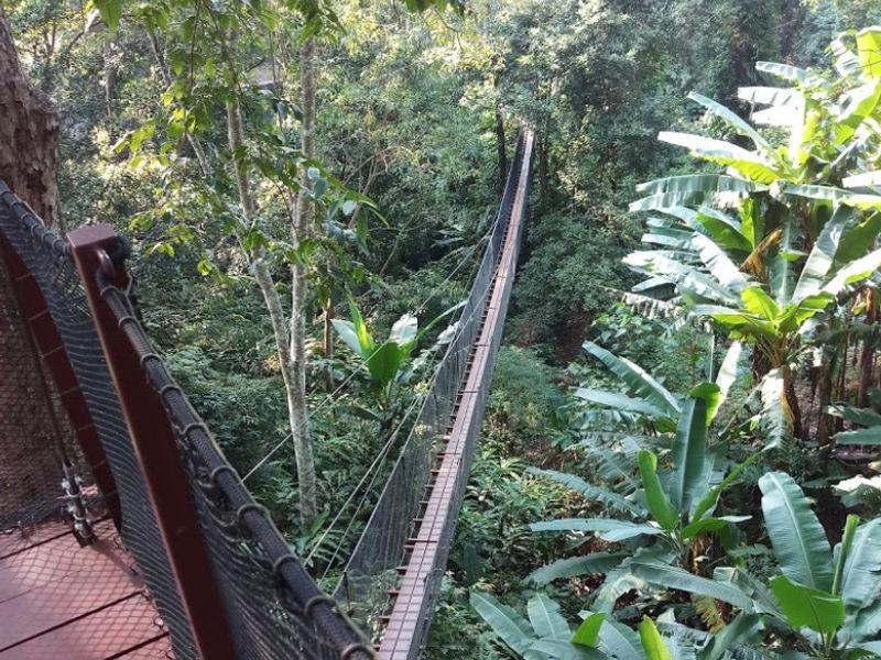 Doi Tung Tree Top Walk