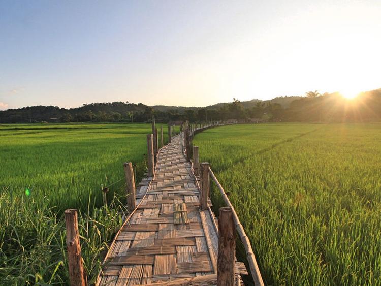 Sutongpe Bridge