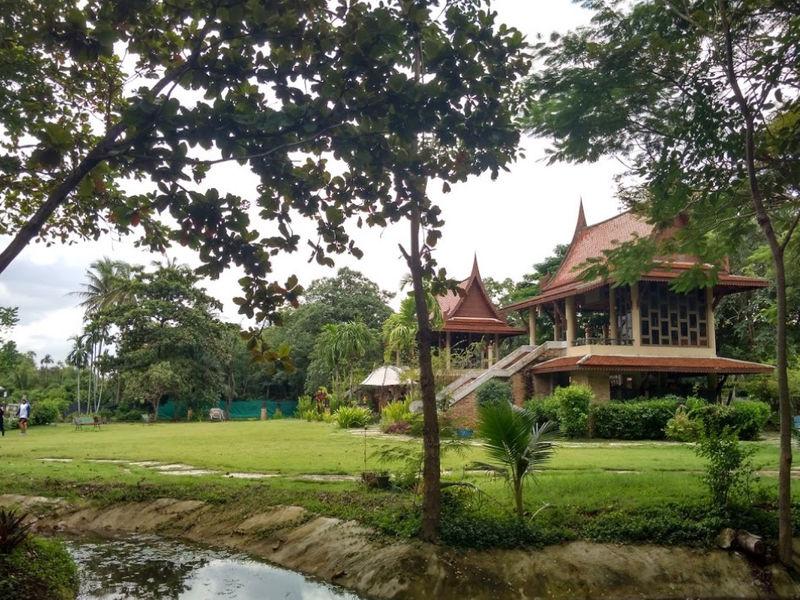 Siamese Fighting Fish Museum