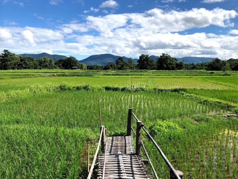 ขัวแตะ สะพานบุญวัดพระธาตุสันดอน