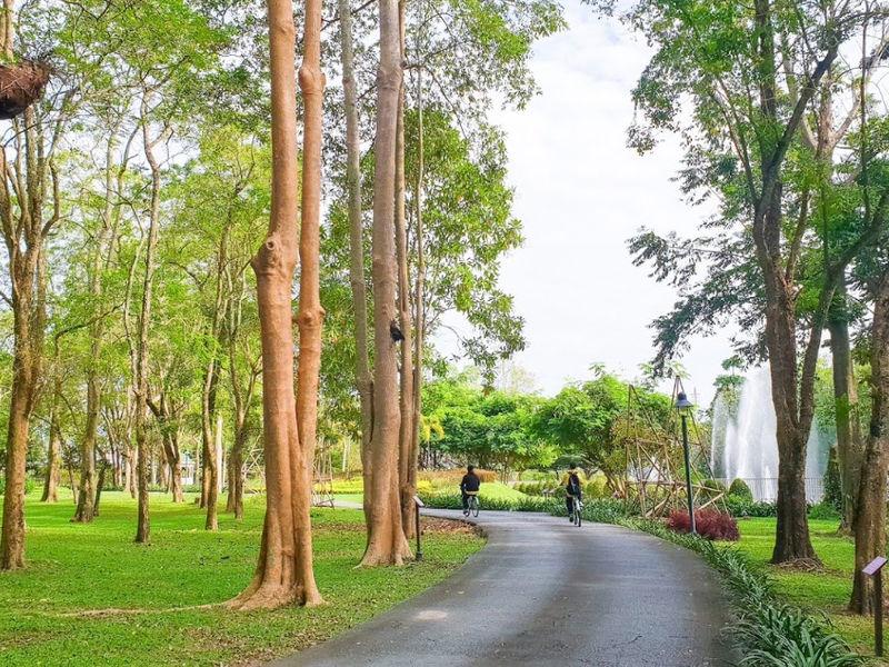 HRH Princess Maha Chakri Sirindhorn's Herb Garden