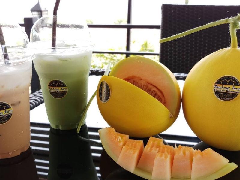 บ้านเกษตรฟาร์ม Cafe & Melon Farm