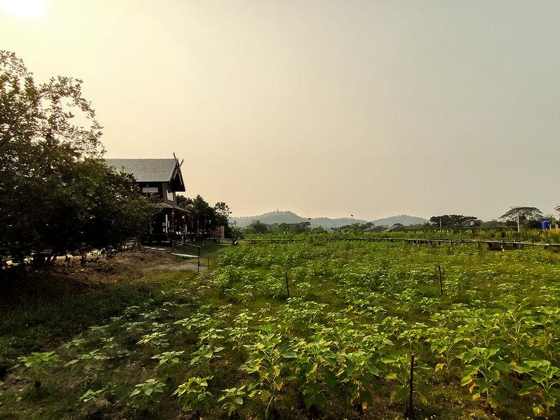 Baan Hom Klin Din Sukhothai