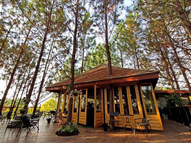 Cedar forest pine cafe at Khao Kho