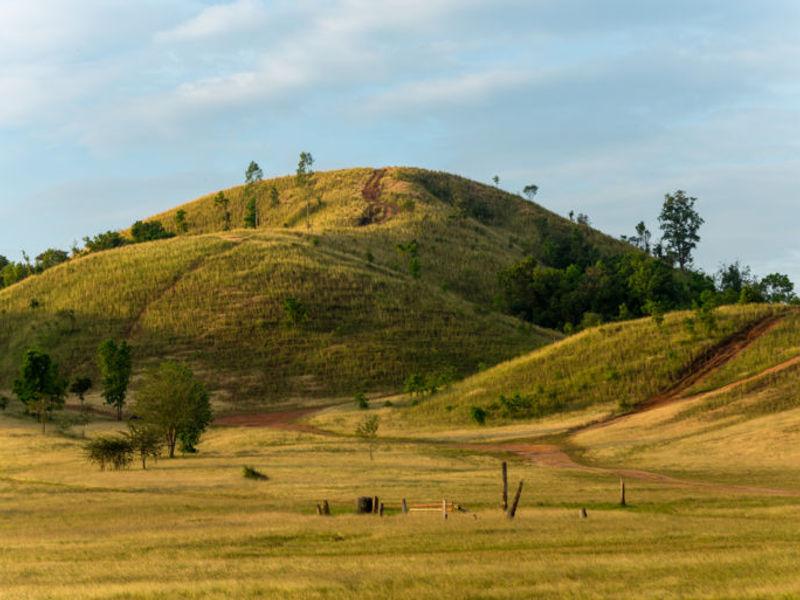 grass mountain