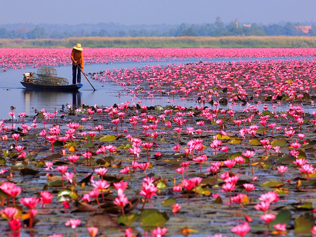 ทะเลสาบหนองหาน