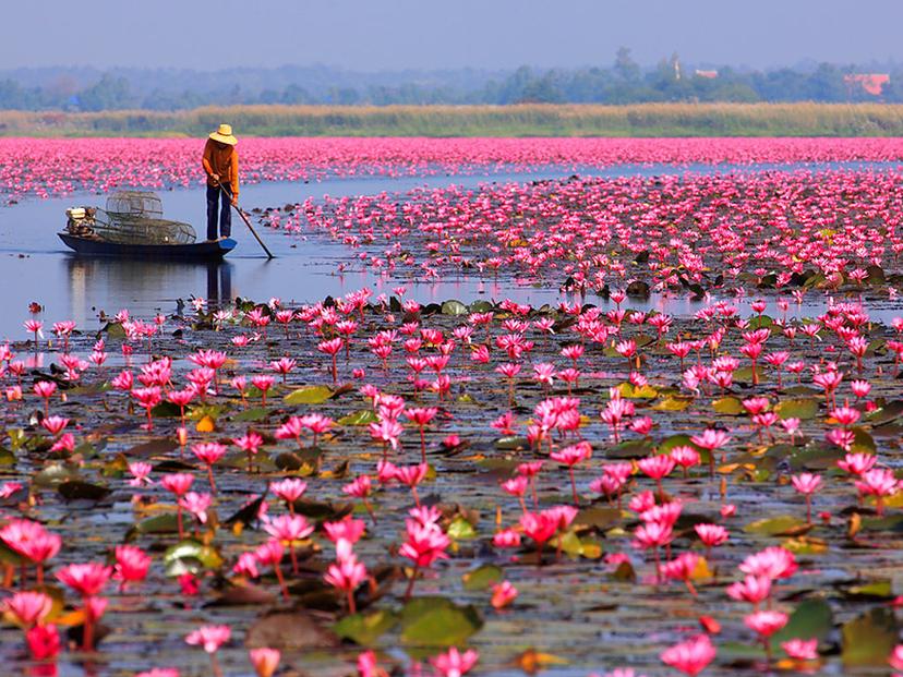 Nong Han Lake