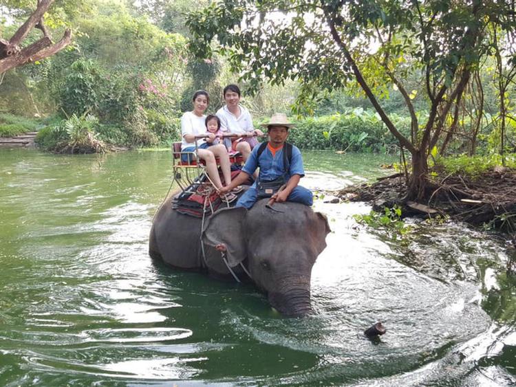 Damnoen Saduak Elephant Village