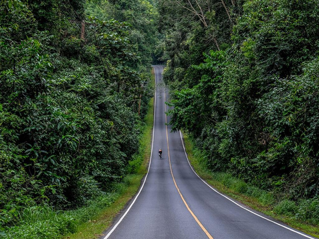 Khao Yai National Park