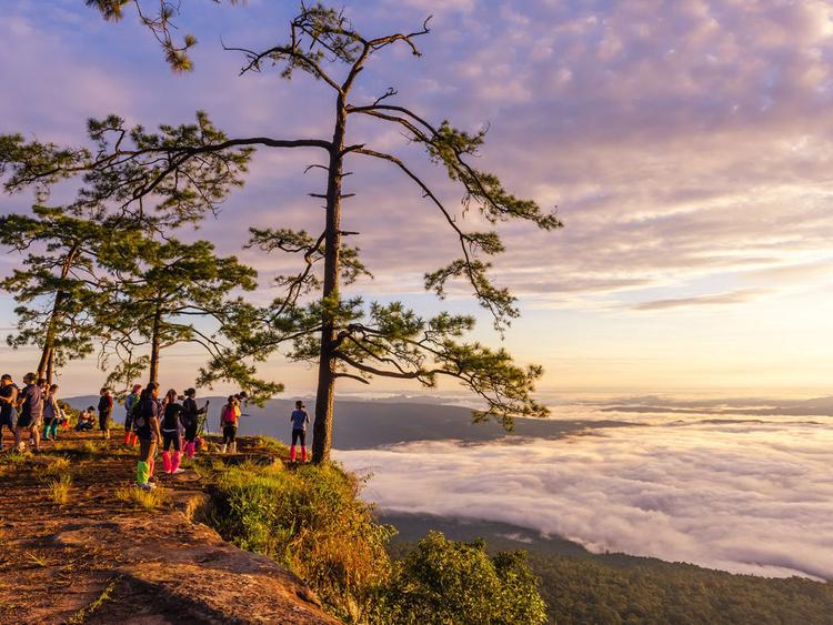 Phu Kradueng National Park