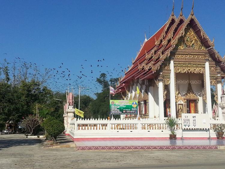 Wat Chantraram（见母鸡蝙蝠）