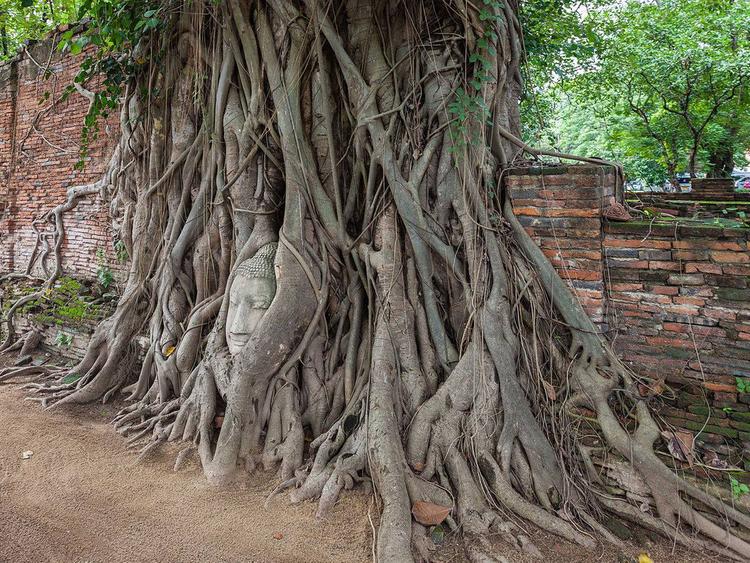 Wat Mahathat Ayutthaya