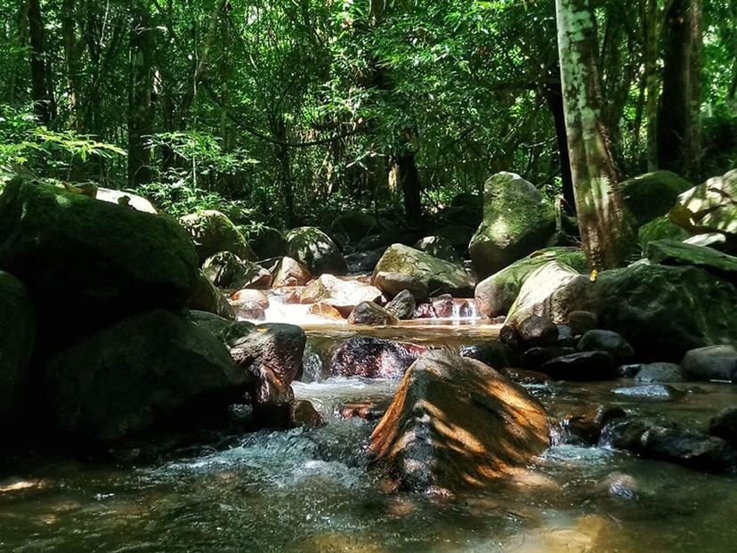 Pak Jam Waterfall (Khao Pu-Khao Ya National Park)