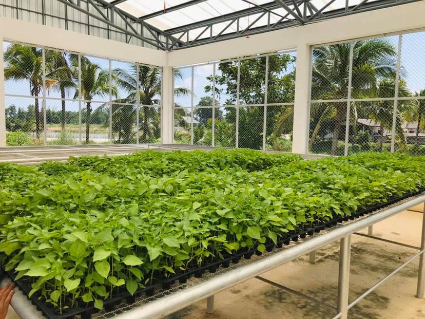 Plant Propagation Center 2, Trang Province