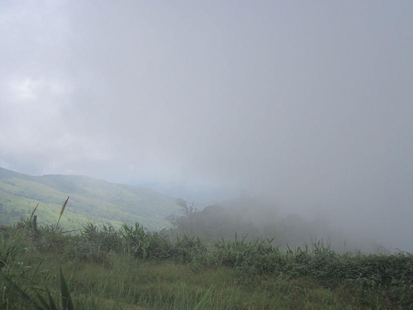 Mae Tuen Wildlife Sanctuary