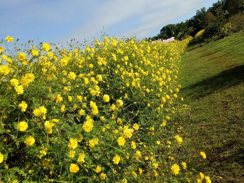 Pathom Phet Farm