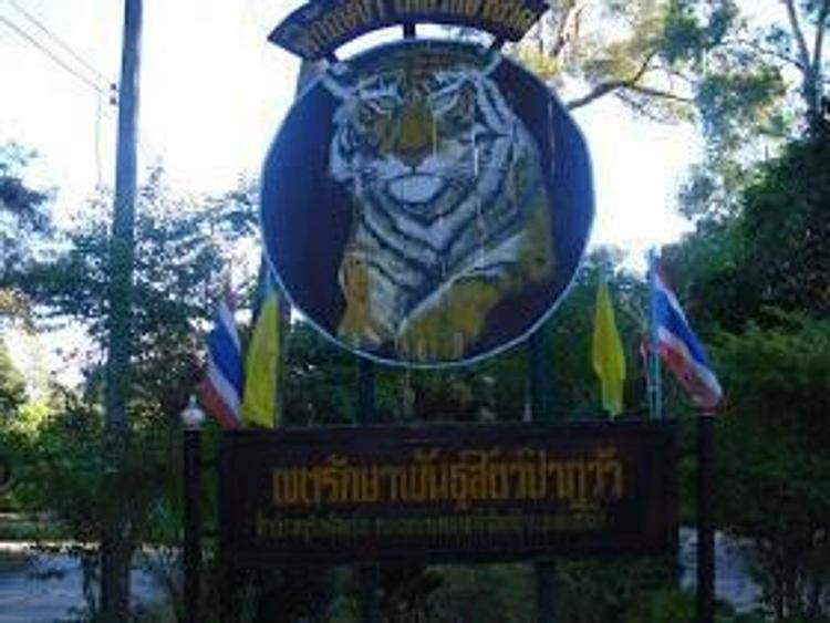 เขตรักษาพันธุ์สัตว์ป่าภูวัว