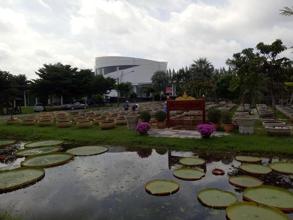 lotus museum Rajamangala University of Technology