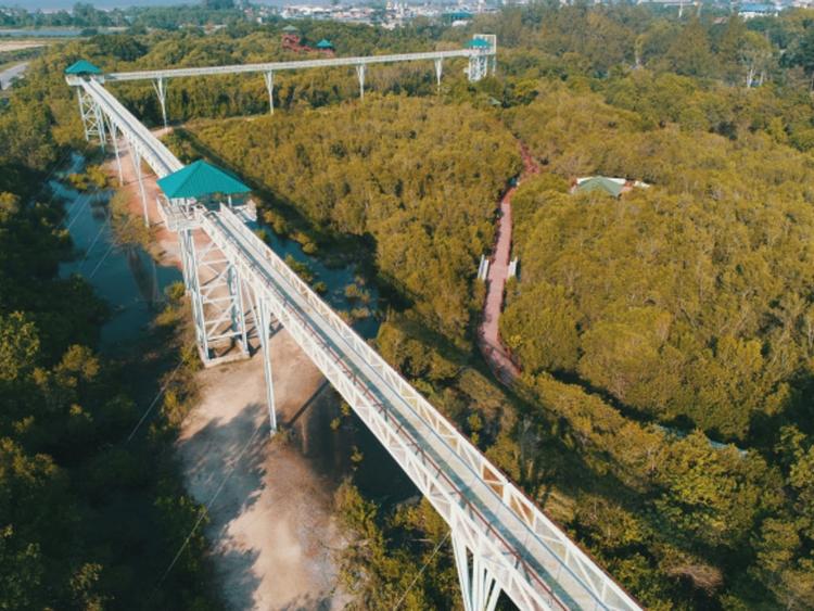 Pattani Sky Walk