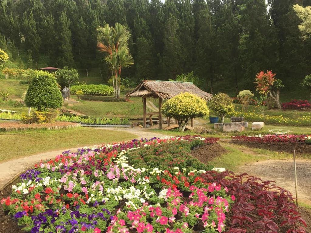 Betong winter flower garden (The Garden of Ten Thousand Flowers)