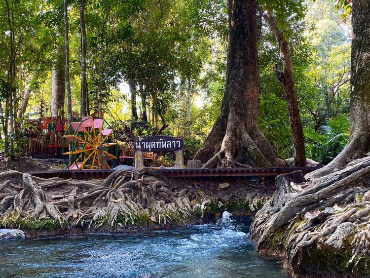 Nam Phut Thap Arboretum, Laos