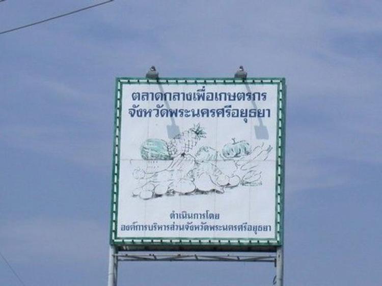 ตลาดกลางเพื่อเกษตรกรจังหวัดอยุธยา