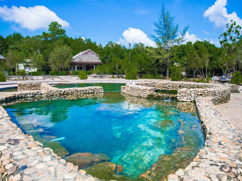 Saline hot spring Khlong Thom