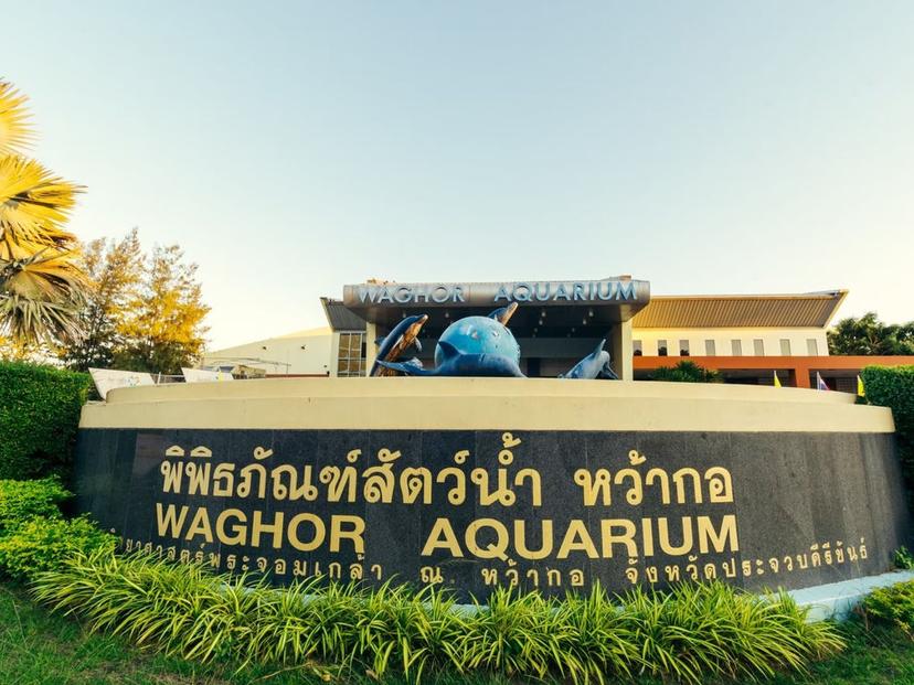 Waghor Aquarium