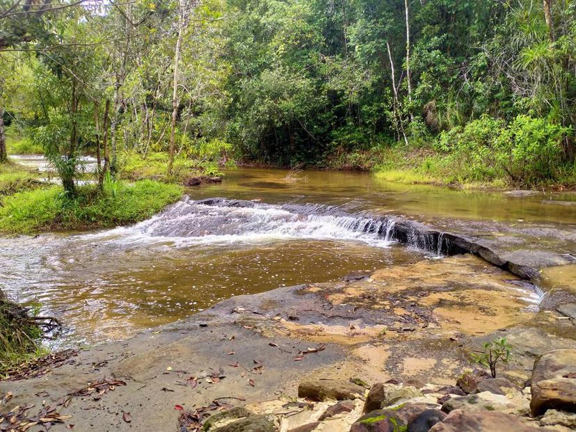 Phu Jong Na Yoi National Park