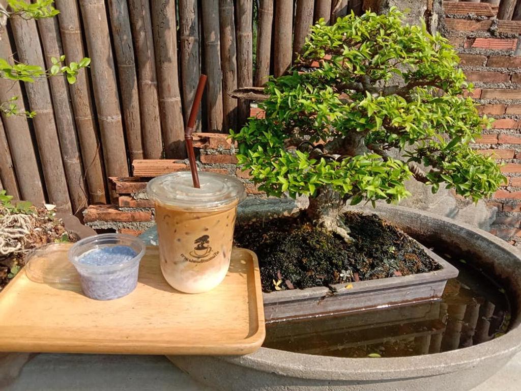 Bonsai CAFE