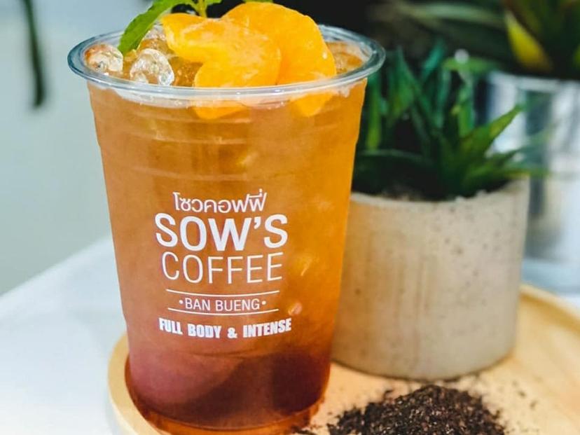 Sow's Coffee Siam Tara Mantra