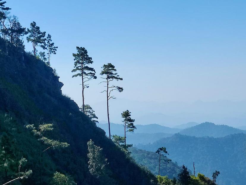 Doi Wiang Pha National Park