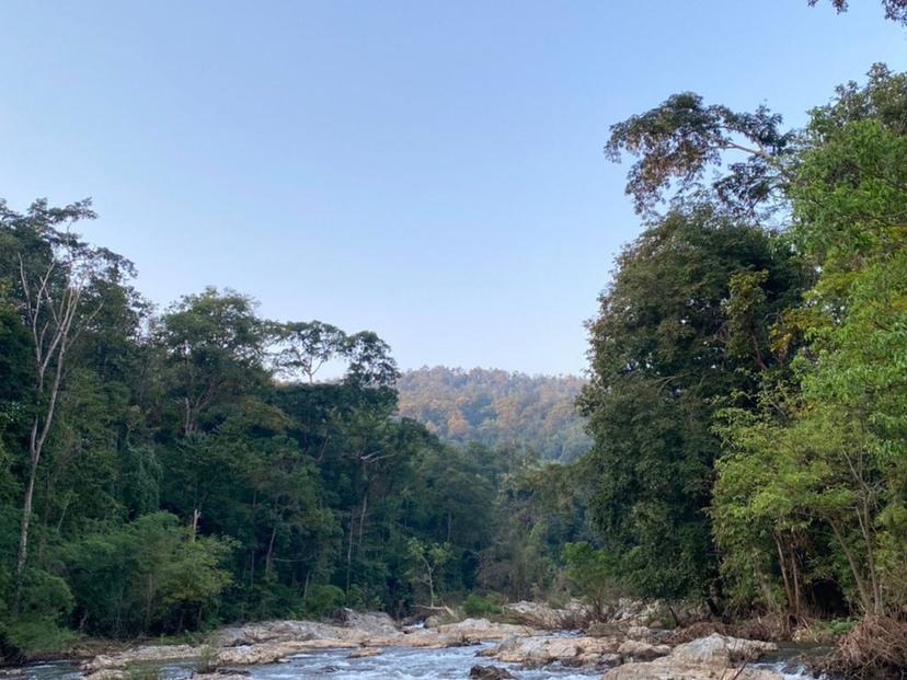 Khlong Wang Chao National Park