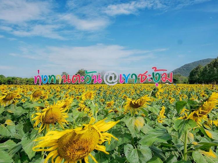 Khao Cha Ngum Land Rehabilitation Study Center arising from royal initiatives