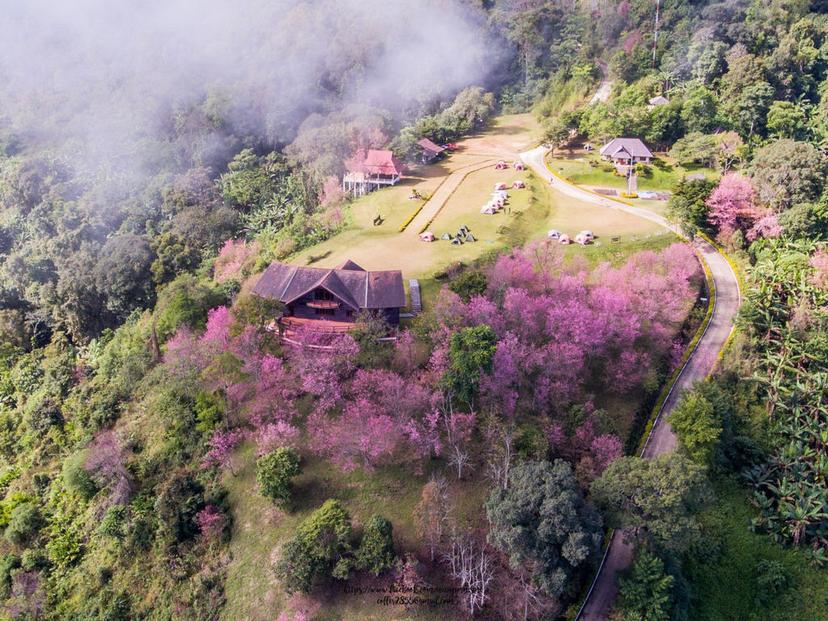 Doi Pha Hom Pok National Park