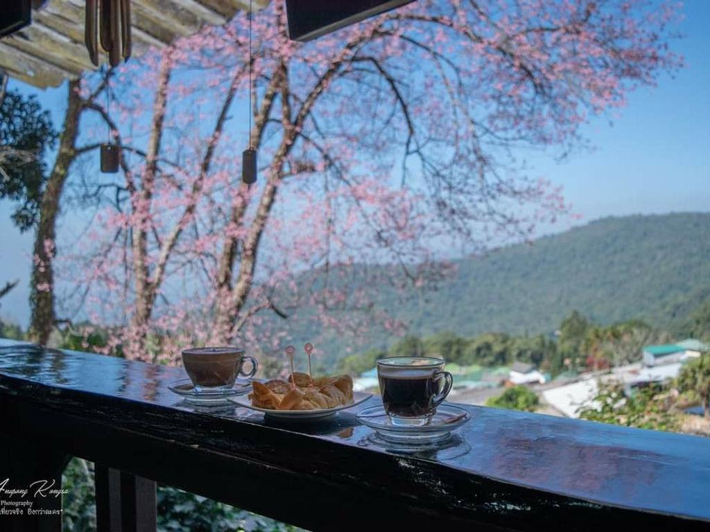 Hmong Doi Pui Family Coffee