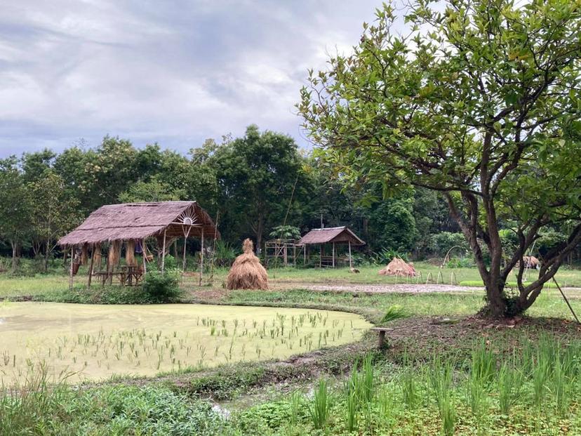 Hang Tung Farm