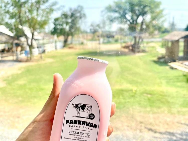 ปานขวัญแดรี่ฟาร์ม - PanKhwan Dairy Farm