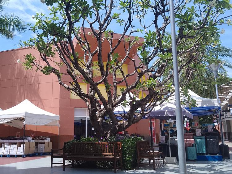 Premium Outlet Cha-am พรีเมี่ยมเอาท์เล็ท ชะอำ