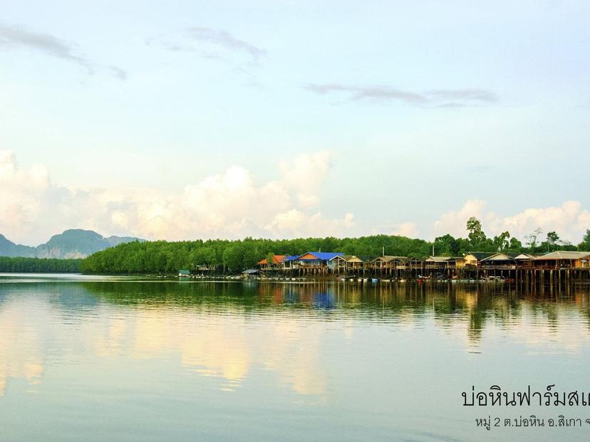 Bo Hin Farm Stay