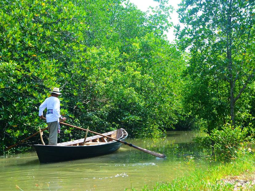 Thung Yee Peng Farmer's Women's Group joins forces