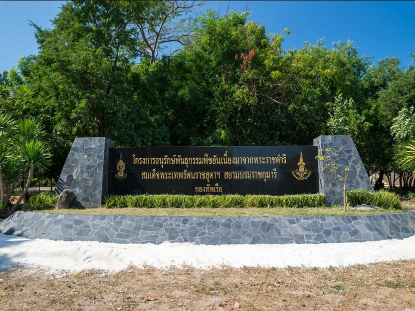 โครงการอนุรักษ์พันธุกรรมพืช พิพิธภัณฑ์ธรรมชาติวิทยา เกาะและทะเลไทย