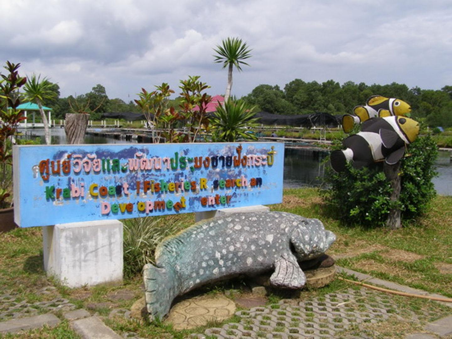 ศูนย์วิจัยและพัฒนาประมงชายฝั่งกระบี่ (ศูนย์ปลานีโม)