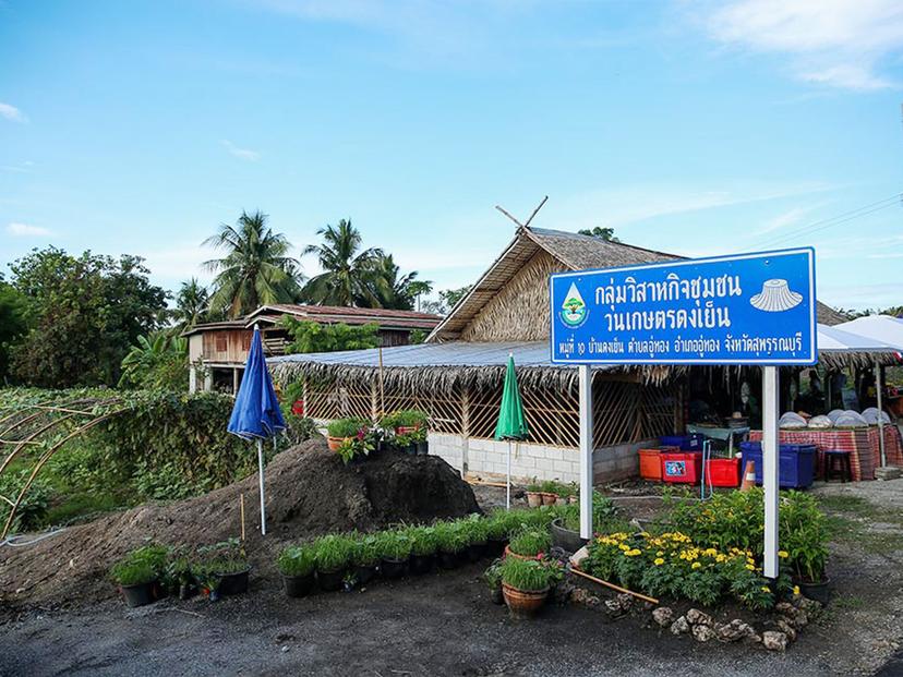 Dong Yen Agroforestry Enterprise