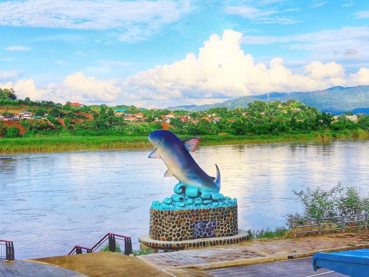 Hat Krai Giant Catfish Catch