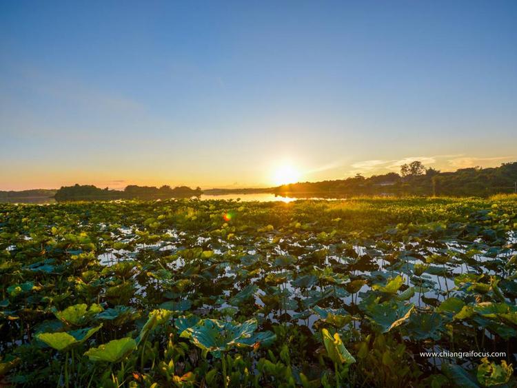 Chiang Saen Lake